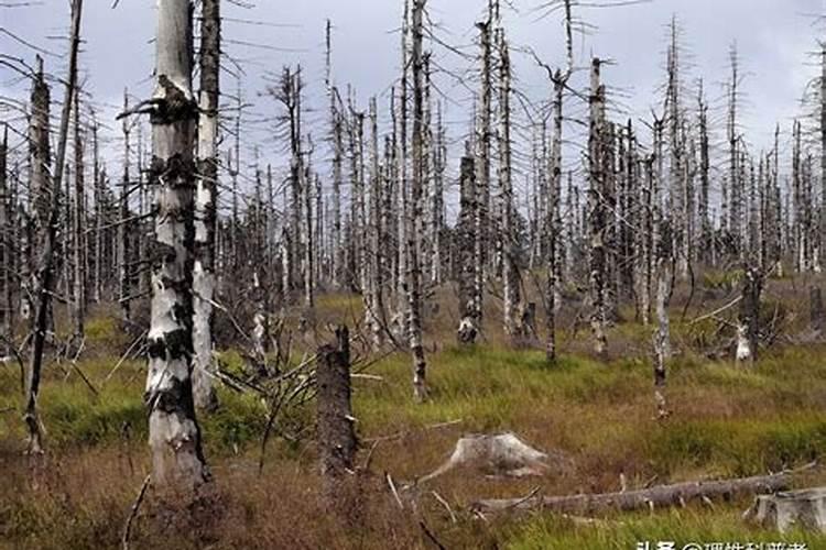 雷电会使雨水产生氮肥吗