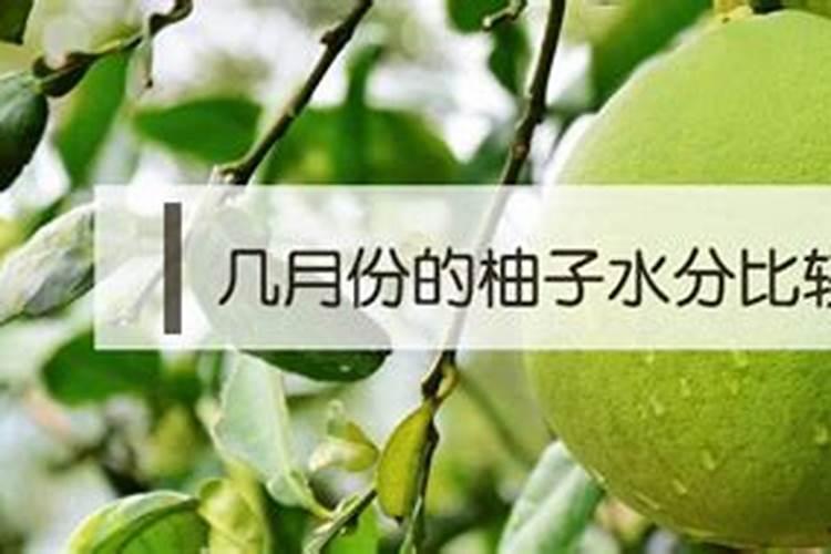 柚子什么时候施壮果肥 使用哪些肥料好