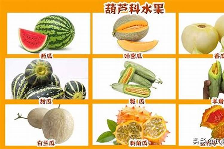 榴莲适合浇哪些肥料