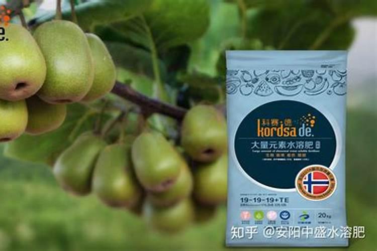 下雨时可以给果树散水溶肥吗？