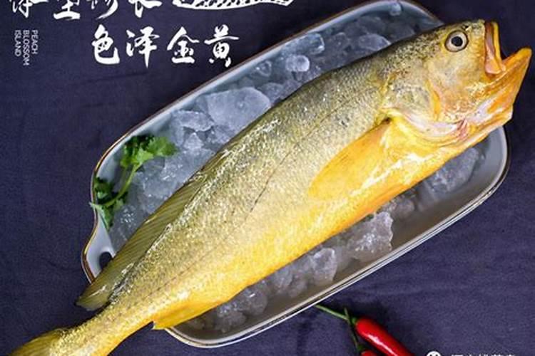 发酵鱼蛋白为什么发臭了