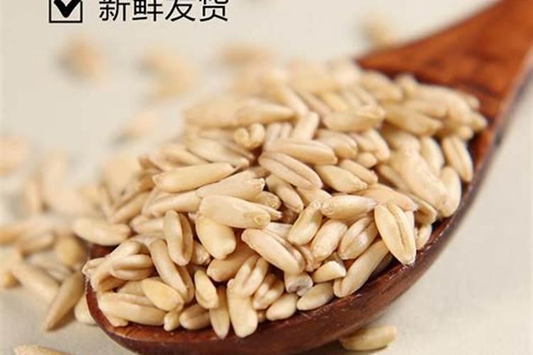 有哪些判断燕麦米品质的技巧分享？