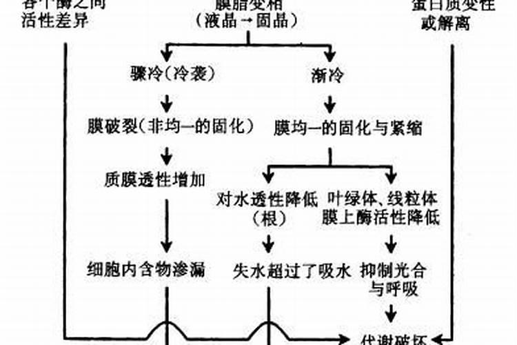 葡萄什么时候上肥料最好