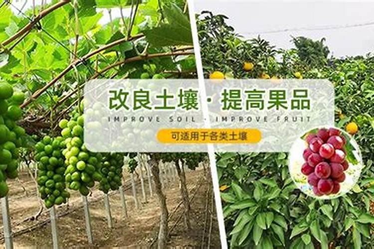 合肥艾夫尔新型肥料有限公司怎么样？