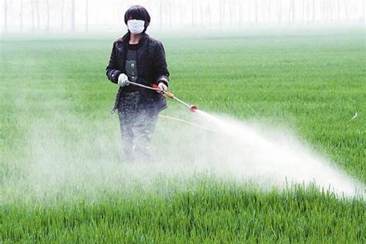叶面肥和农药可以混在一起使用吗 常用叶面肥与农药混用先后顺序百度...