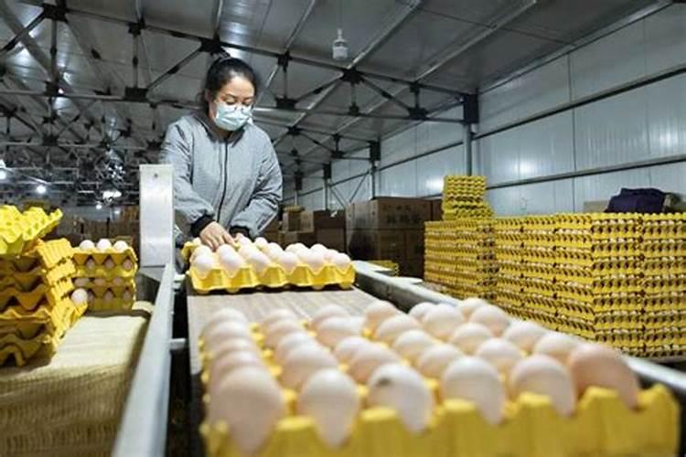 鱼蛋白酶辨别真假方法