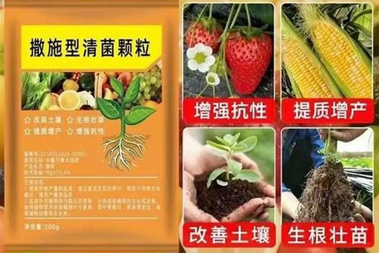 钙镁硼锌铁叶面肥啥时用最好