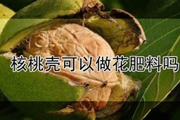 核桃坏了怎么当花肥 核桃坏了如何给花当肥料