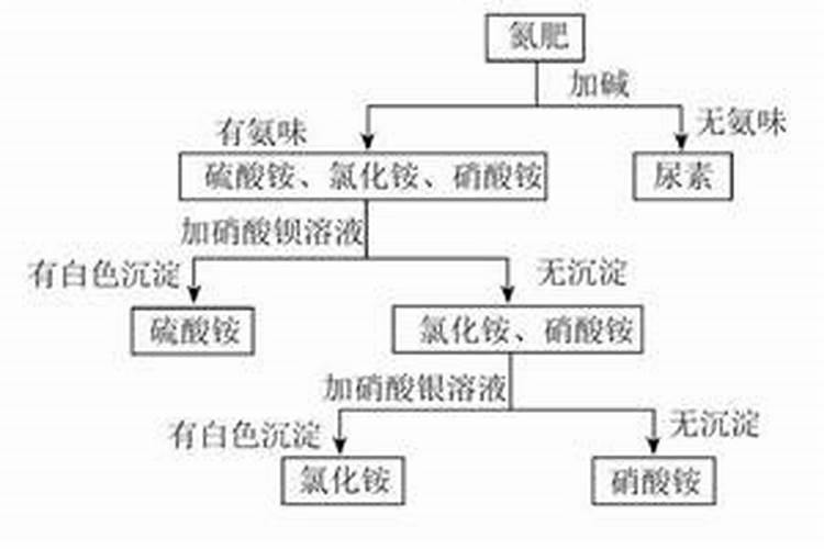 茶叶施用硝态氮肥与施用氨态氮肥的区别
