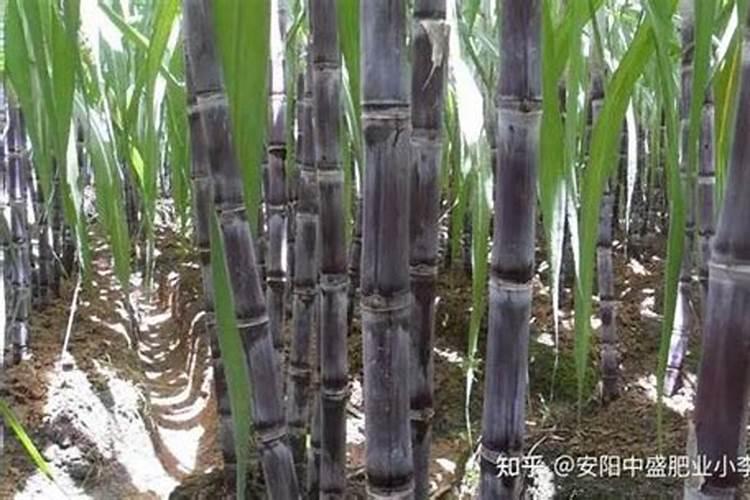 拉多美硫酸钾复合肥适用作物