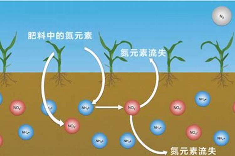 氮肥的使用方法和技巧