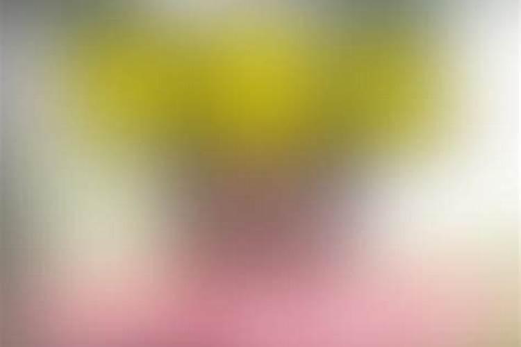 西瓜施什么肥料最好