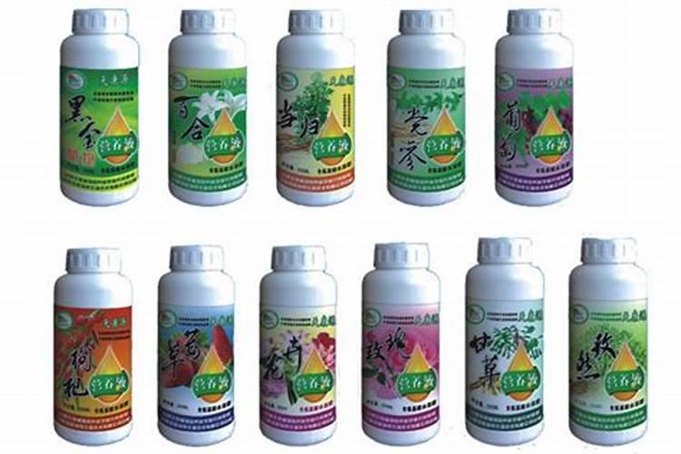 甘肃优质的花卉类农作物有哪些？