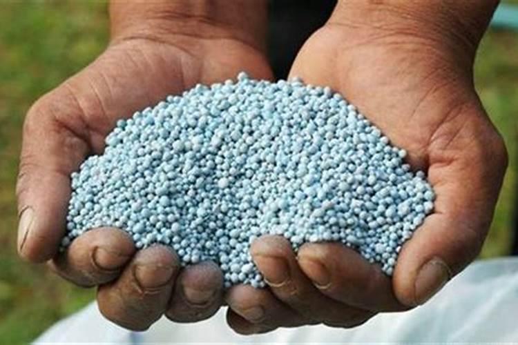 调研氮磷钾肥料常见种类及使用注意事项