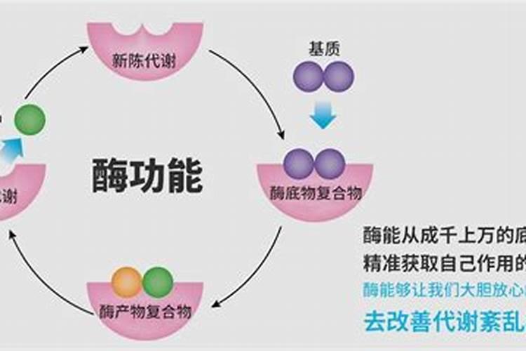 氮肥对植物的作用