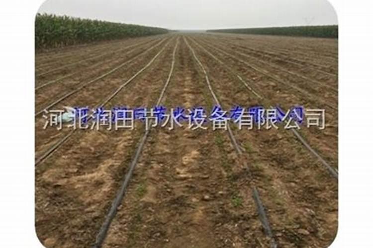 水溶肥滴灌用多大浓度