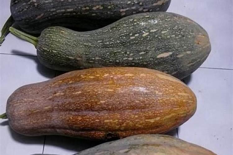南瓜用什么当肥料