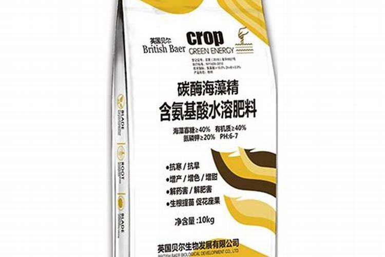 南方楼顶种什么果树