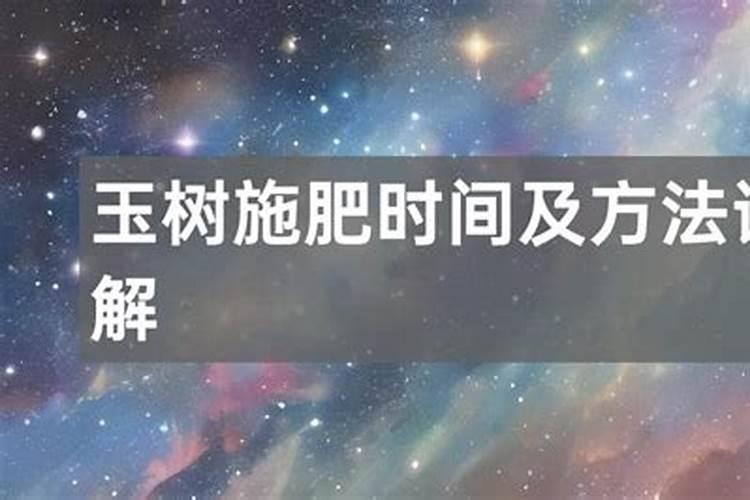 玉树如何施肥？