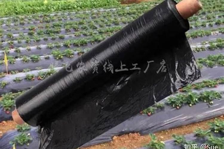什么是掺混肥料？