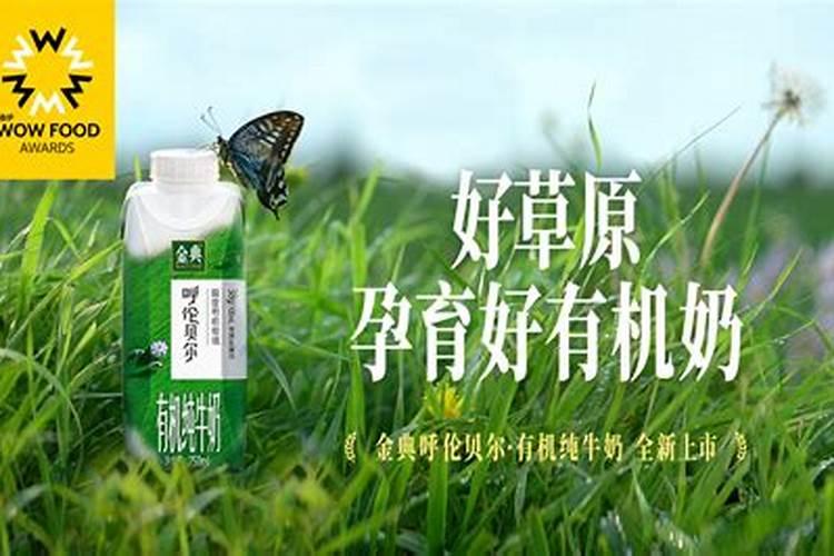 神华宝日希勒能源公司的旗下公司