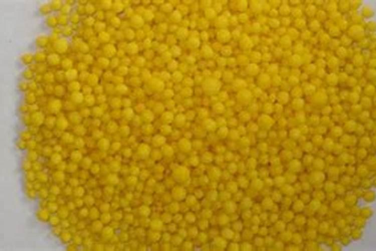 豆角上的黑色虫是什么虫？