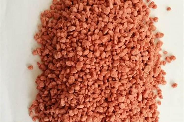 【碳哥课堂】种月季用什么样的水溶肥好？