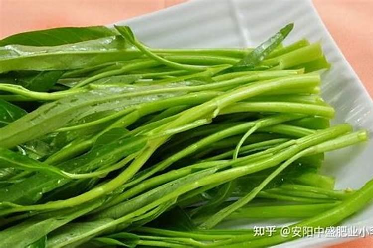 空心菜用什么肥料最好