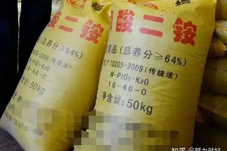 铁线莲僵苗的表现