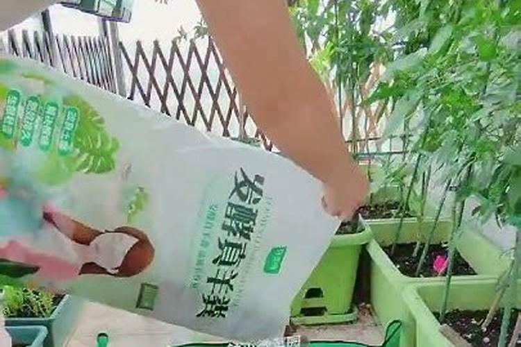 种菜前土地要先施肥吗