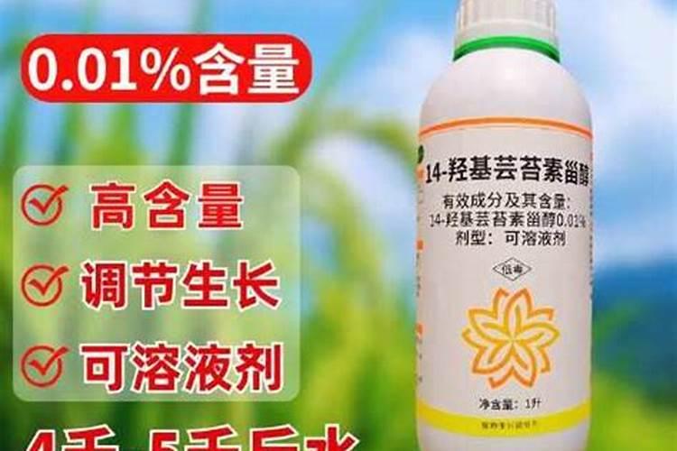 小区外的荒地能不能用来进行蔬菜种植