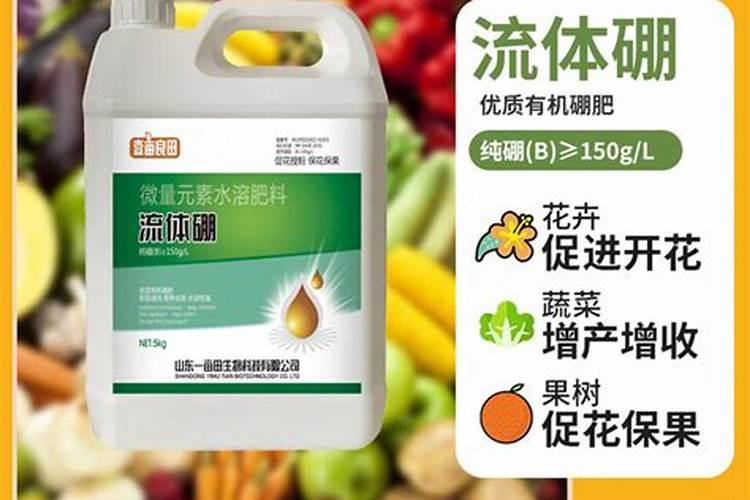 黄蜀葵与蜀葵的区别