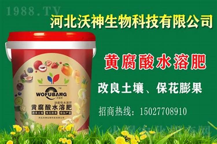 硼肥在杨梅膨果时期能增加种子的饱满程度 杨梅膨果时期使用硼肥能增加...