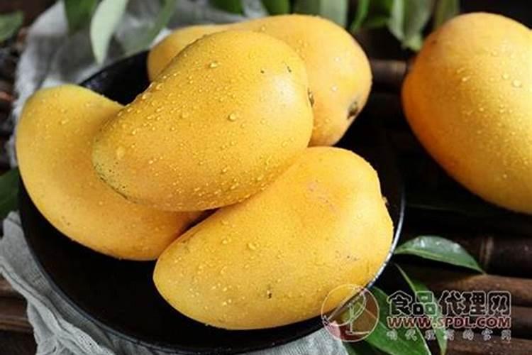 种芒果施什么肥