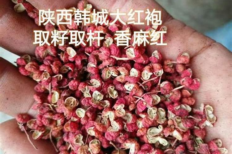 花椒青果期预防落果喷施什么农药？