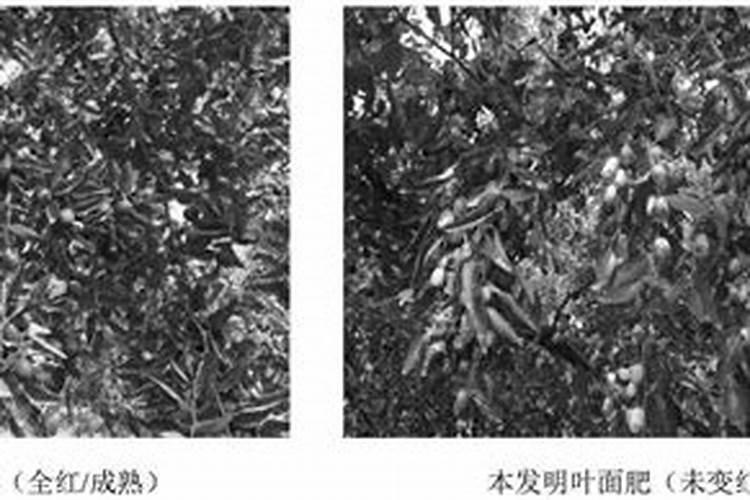 含硫与含碌的复合肥有什么区别