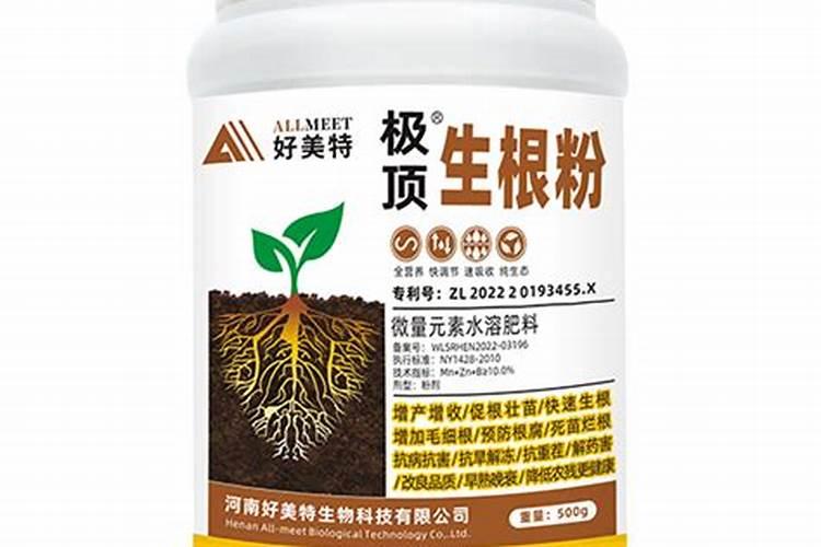 一年的石蜡树8月份移栽能不能存活