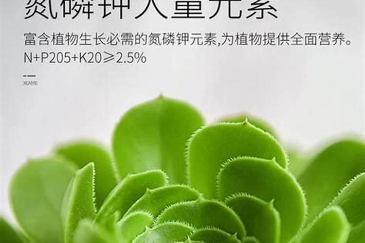 养花复合肥和农用复合肥的区别  养花用复合肥好还是有机肥好