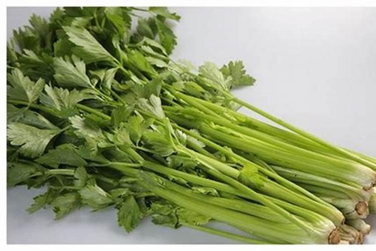 芹菜用什么肥料长得快