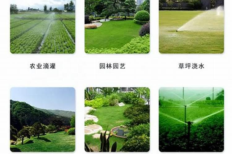 鱼池肥水撒什么肥料