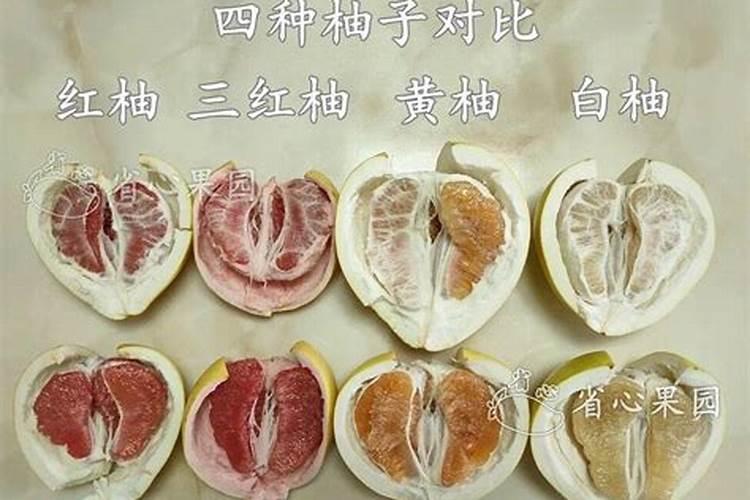 柚子树施什么肥料最好