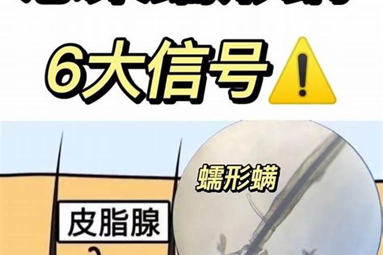 橙梦一号水溶肥料防治那些虫