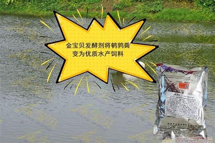 如何把鹌鹑粪变成有机肥