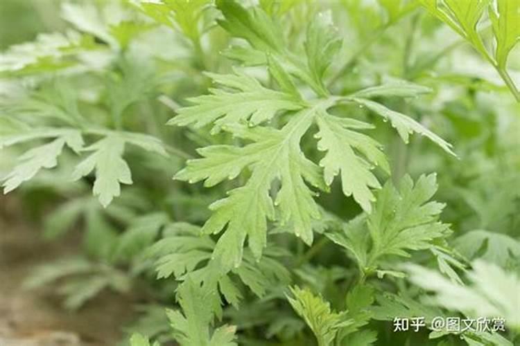 怎样简单辨别钾肥的真假与好坏？