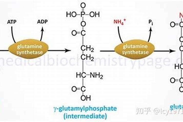 硝酸铵钙的正确使用方法