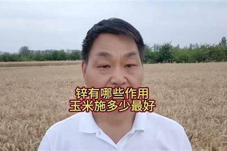 玉米施锌肥的最佳时间 使用方法及注意事项