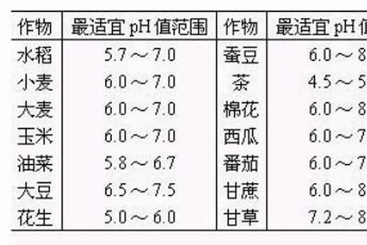 鱼蛋白肥料的功效与作用