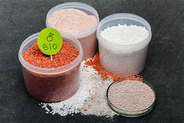 树干已经干枯了,还能救活吗？