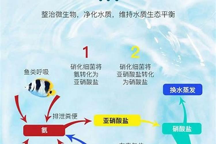 氮肥损失途径有哪些？