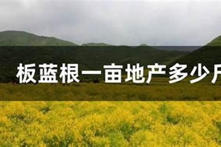 菠萝是怎么种出来的